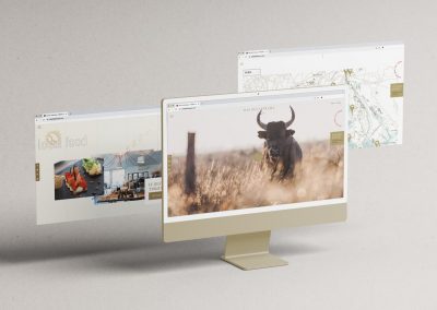 Site-internet-ecran